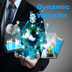 Dynamic Website company