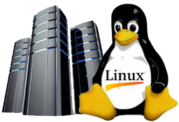 Linux Hosting company